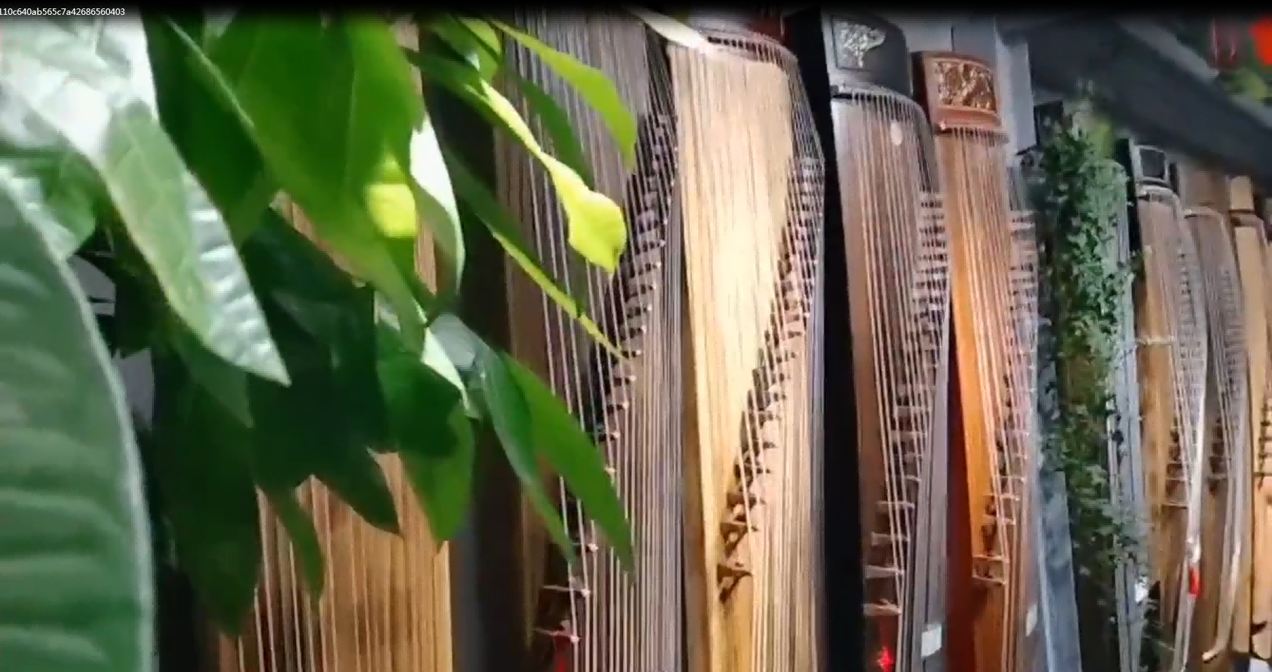 视频展示