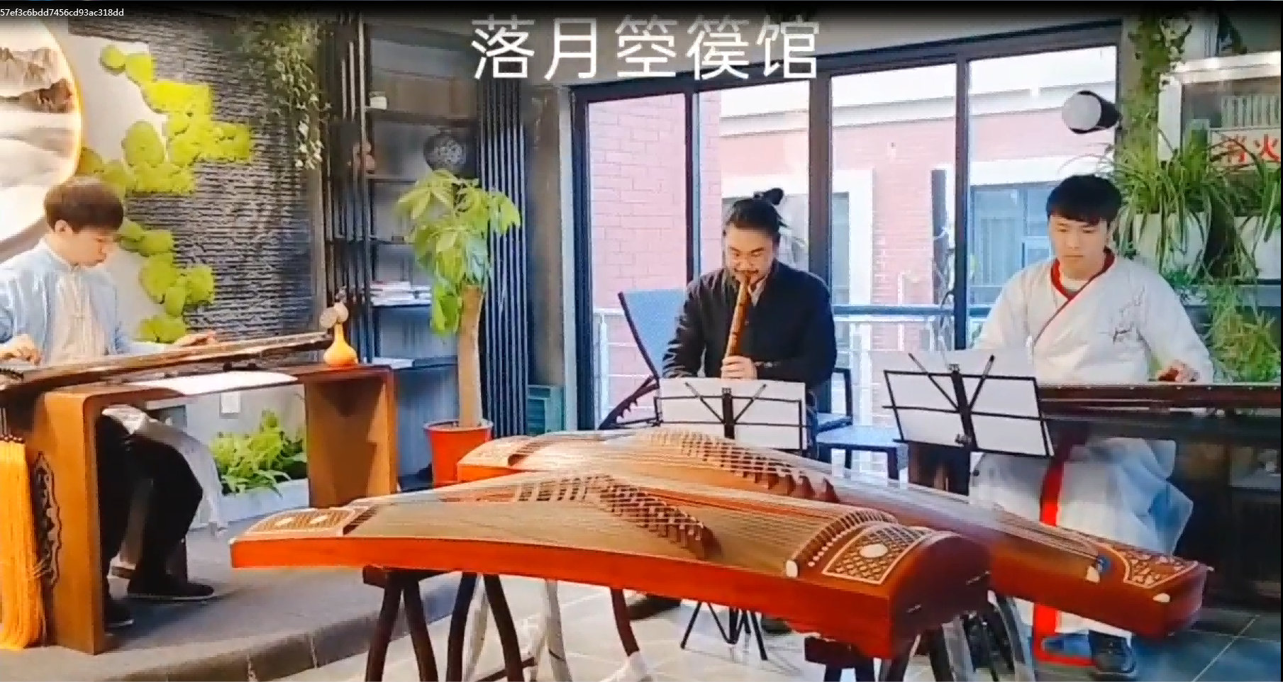 视频展示